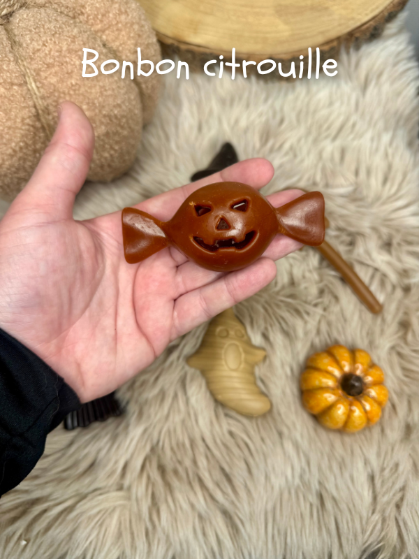 friandise à mâcher mastication halloween chien poulet citrouille balais fantôme tête de mort