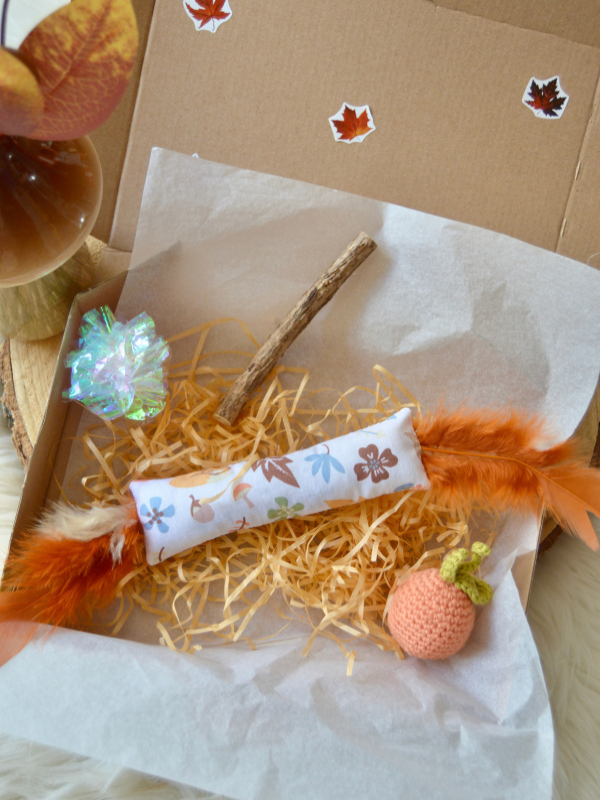 box automne chat jouet fait main herbe à chat valériane halloween