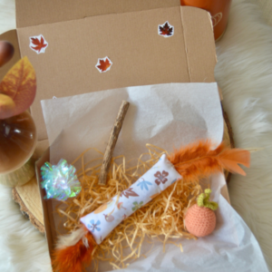 box automne chat jouet fait main herbe à chat valériane halloween