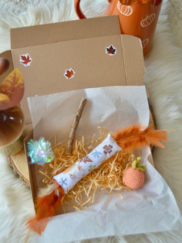 box automne chat jouet fait main herbe à chat valériane halloween