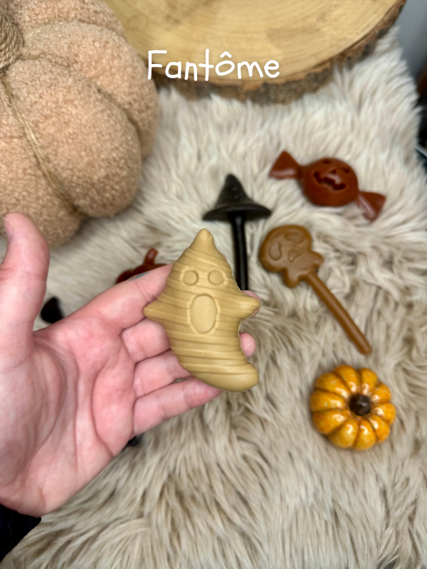 friandise à mâcher mastication halloween chien poulet citrouille balais fantôme tête de mort