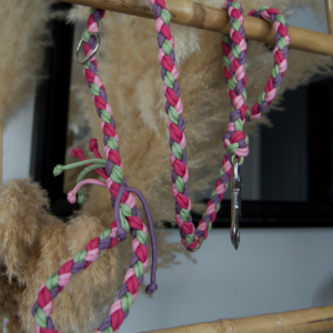 laisse sur-mesure chien paracorde fait main