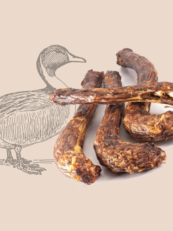 cou canard mastication naturelle chien