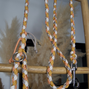 laisse sur-mesure chien paracorde fait main