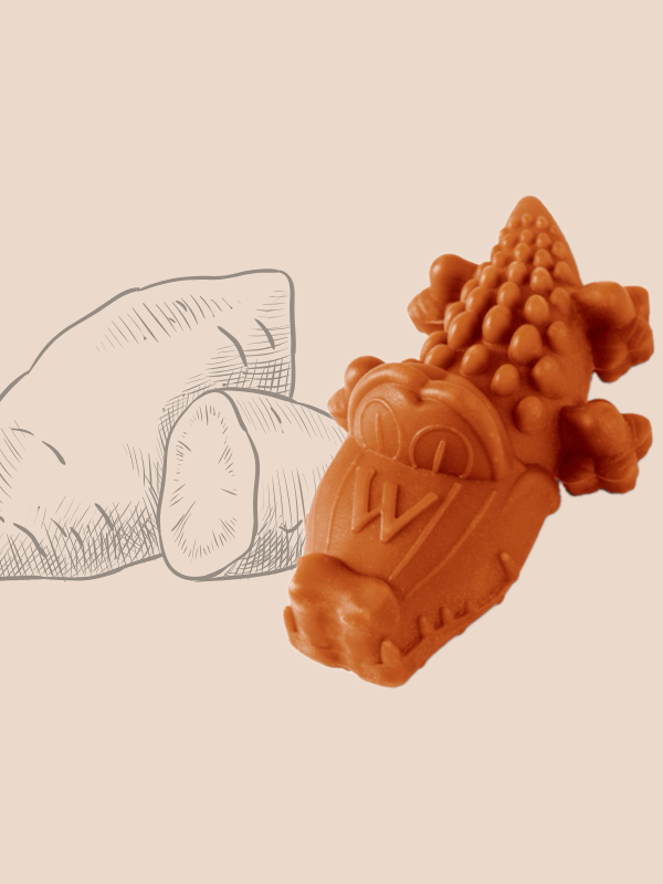 crocodile chien mastication naturelle vegetal vegan patate douce