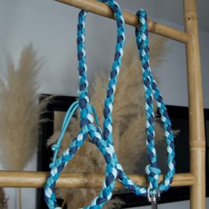 laisse sur-mesure chien paracorde fait main