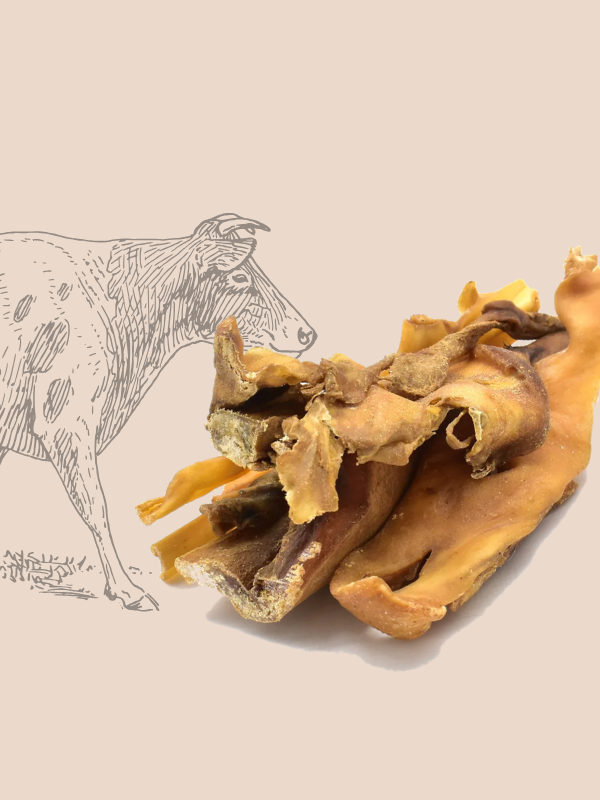 peau boeuf mastication naturelle chien