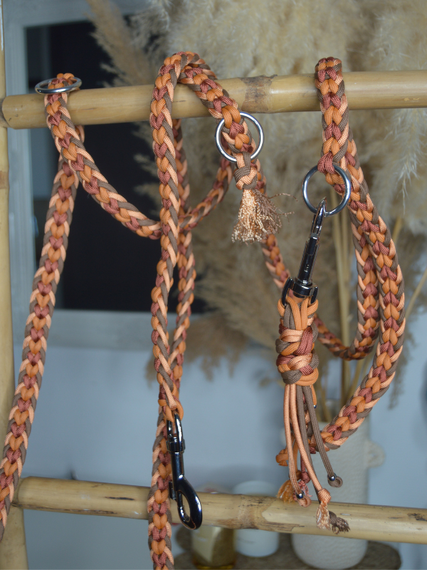 laisse multi-positions faite main sur mesures chien paracorde