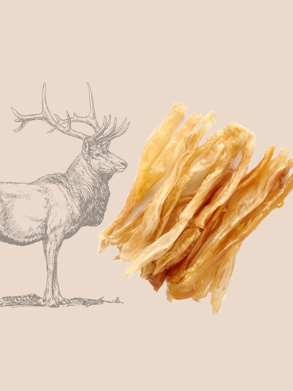 tendon cerf mastication naturelle chien hypoallergénique
